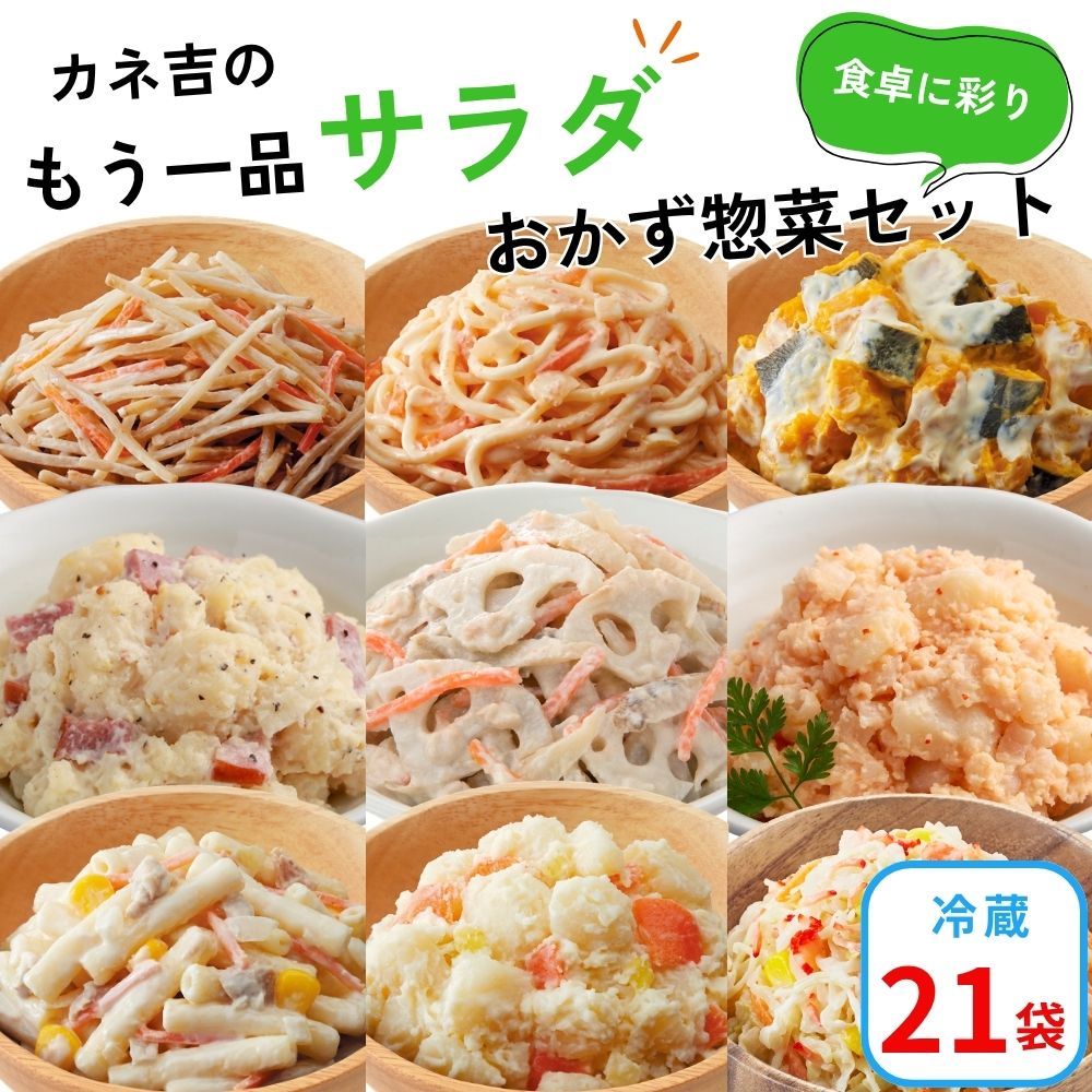 カネ吉のもう一品【サラダ】おかず惣菜セット(21袋)