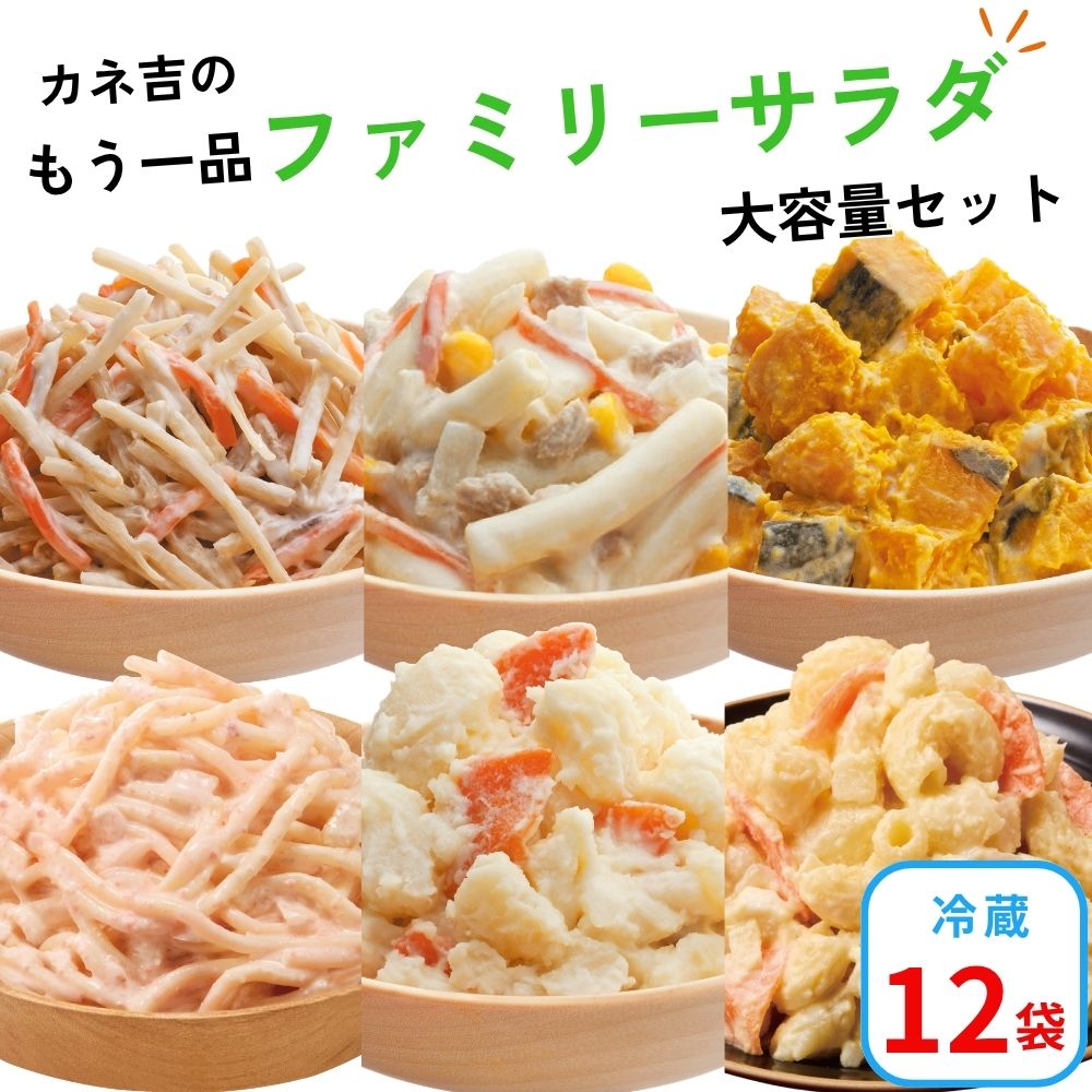カネ吉の【ファミリーサラダ惣菜大容量】セット(12袋)